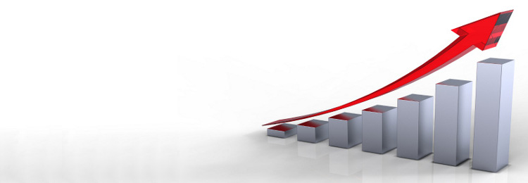 Drive up profits by leveraging low-cost Global Offshore Solutions